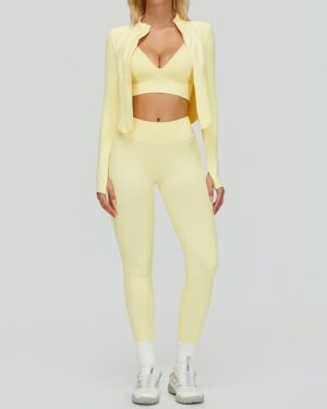 Wholesale Seamless Fitness Set